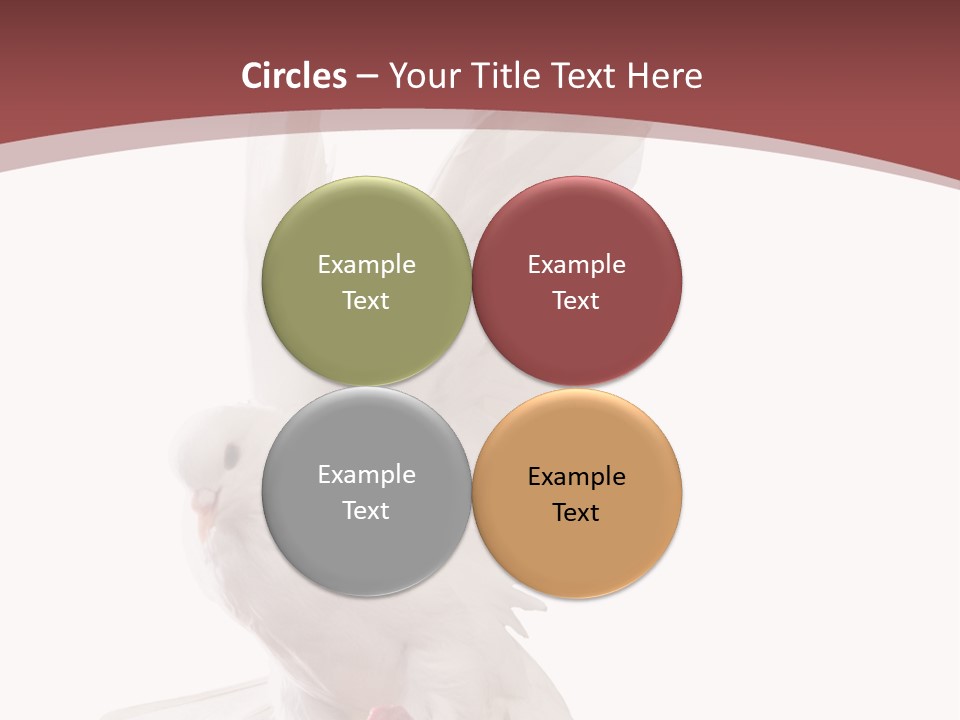 A White Dove Flying In The Air With Its Wings Spread PowerPoint Template