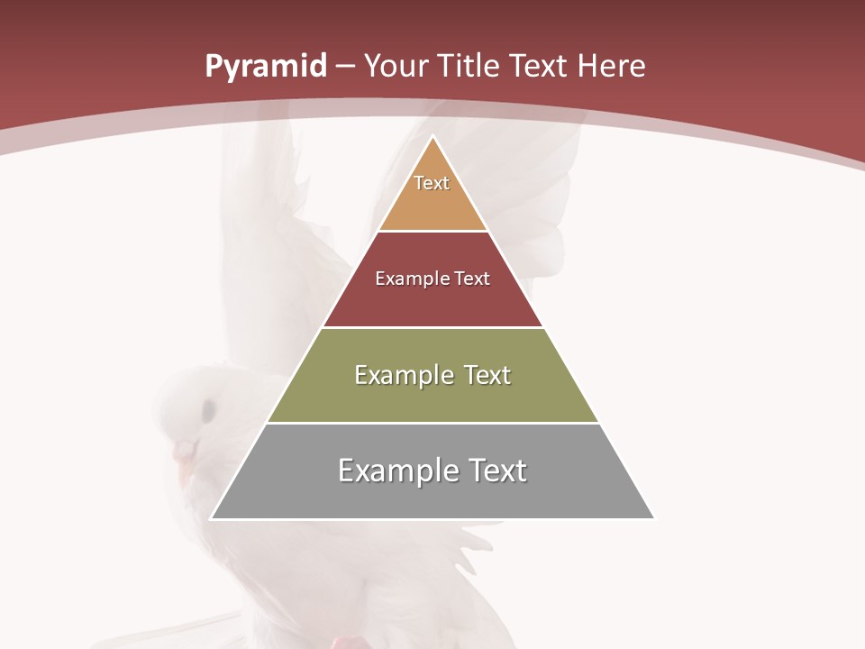 A White Dove Flying In The Air With Its Wings Spread PowerPoint Template