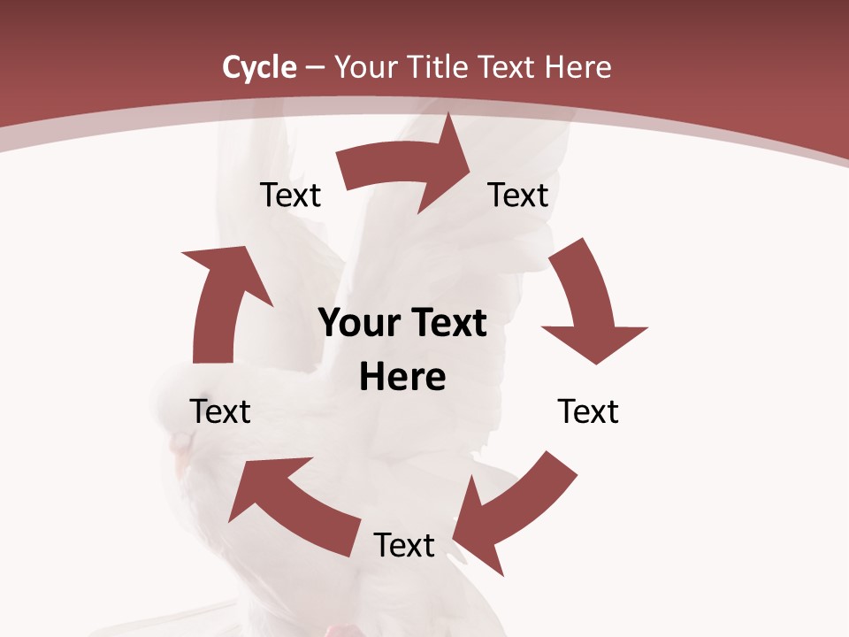 A White Dove Flying In The Air With Its Wings Spread PowerPoint Template