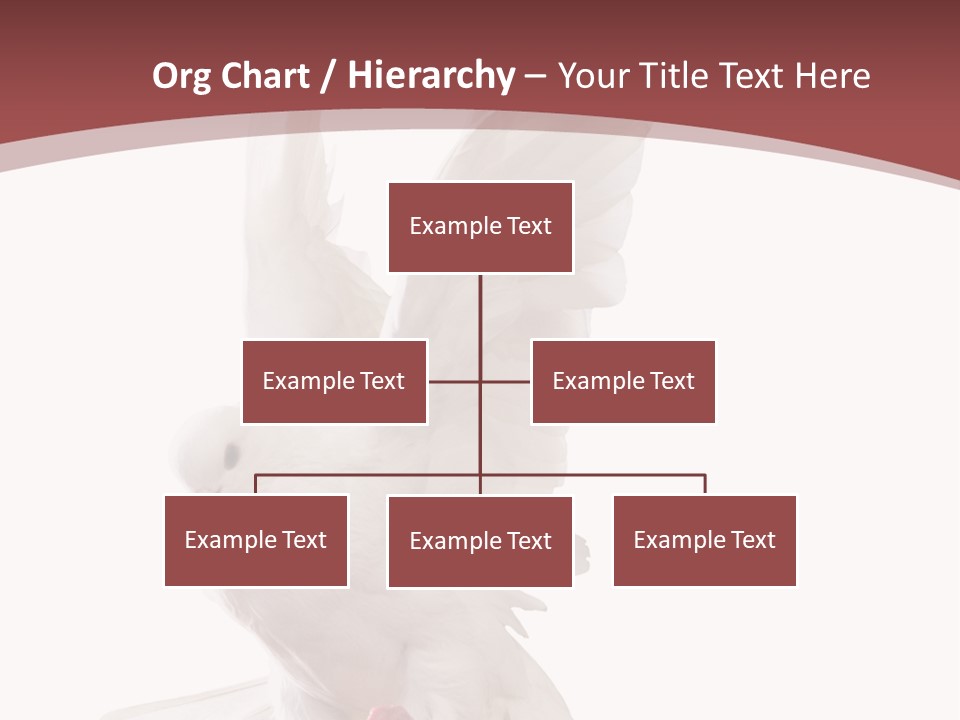 A White Dove Flying In The Air With Its Wings Spread PowerPoint Template