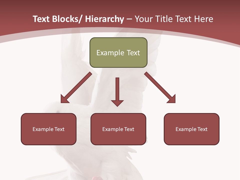 A White Dove Flying In The Air With Its Wings Spread PowerPoint Template