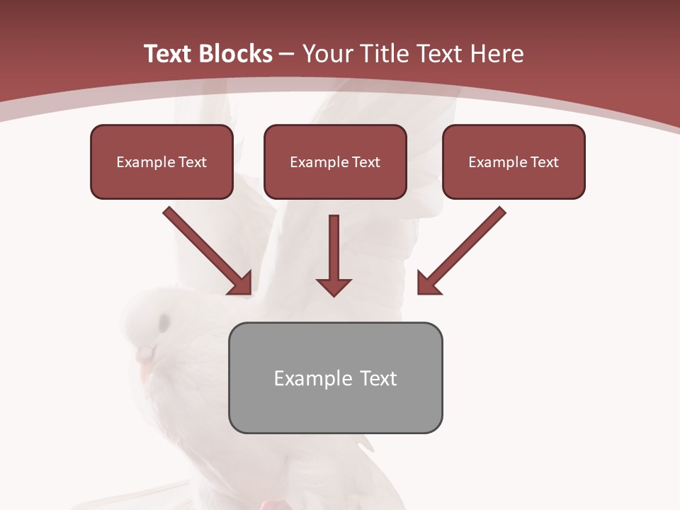 A White Dove Flying In The Air With Its Wings Spread PowerPoint Template