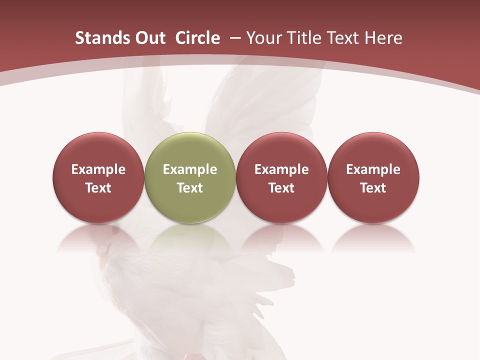 A White Dove Flying In The Air With Its Wings Spread PowerPoint Template