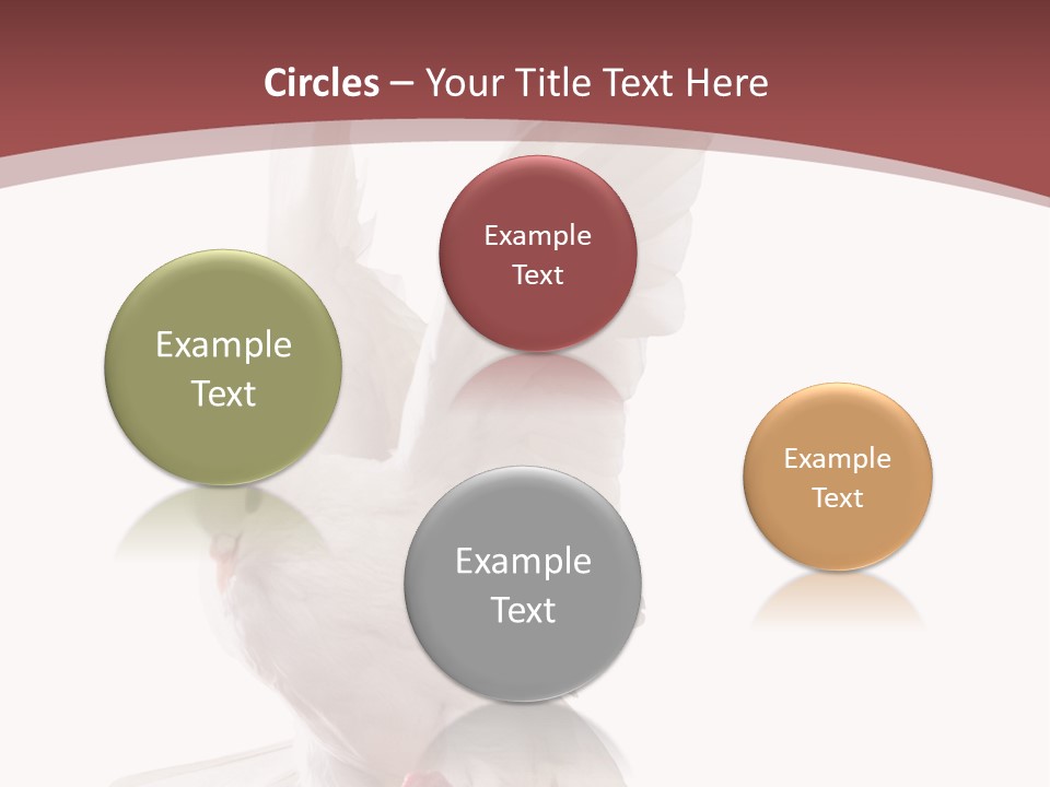 A White Dove Flying In The Air With Its Wings Spread PowerPoint Template