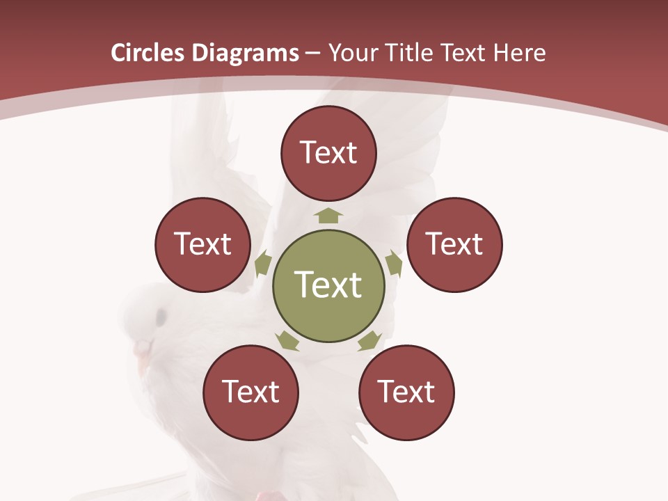 A White Dove Flying In The Air With Its Wings Spread PowerPoint Template