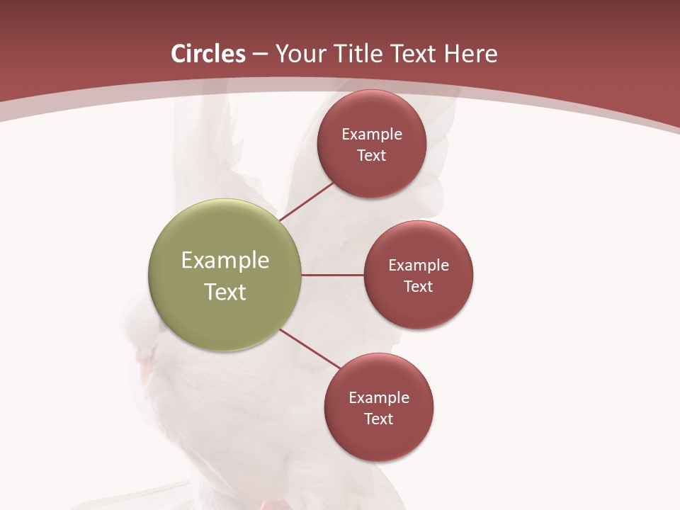 A White Dove Flying In The Air With Its Wings Spread PowerPoint Template