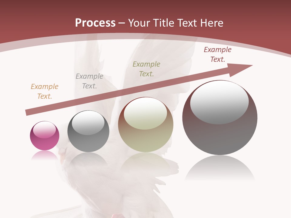 A White Dove Flying In The Air With Its Wings Spread PowerPoint Template