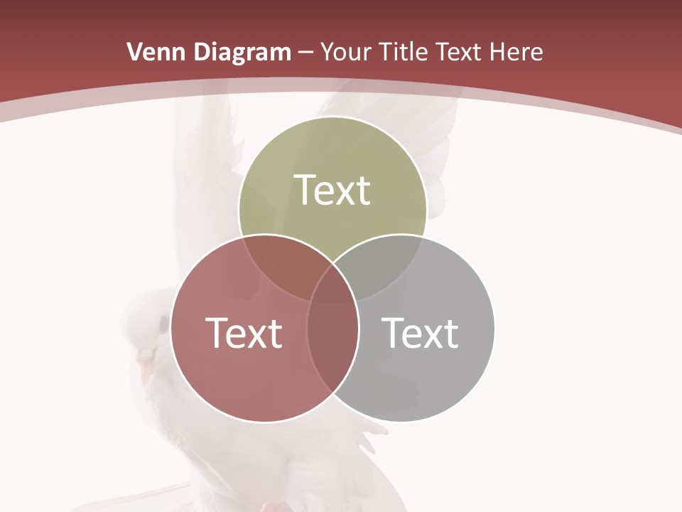 A White Dove Flying In The Air With Its Wings Spread PowerPoint Template