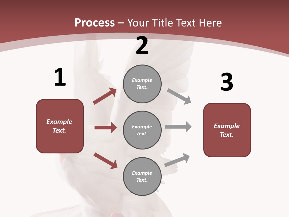 A White Dove Flying In The Air With Its Wings Spread PowerPoint Template