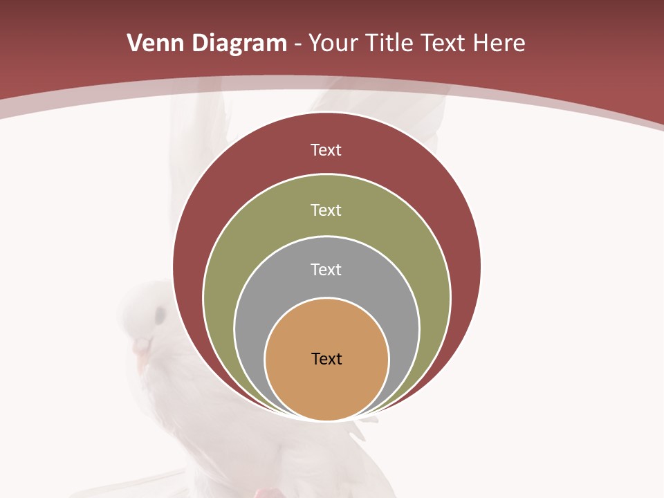 A White Dove Flying In The Air With Its Wings Spread PowerPoint Template