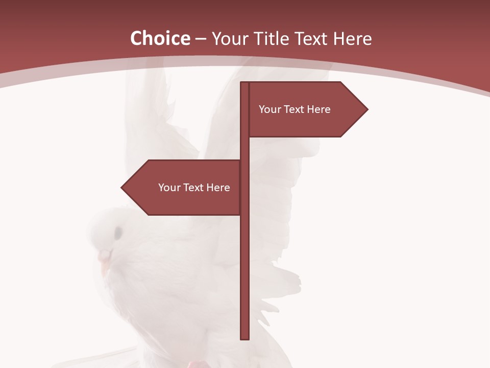 A White Dove Flying In The Air With Its Wings Spread PowerPoint Template