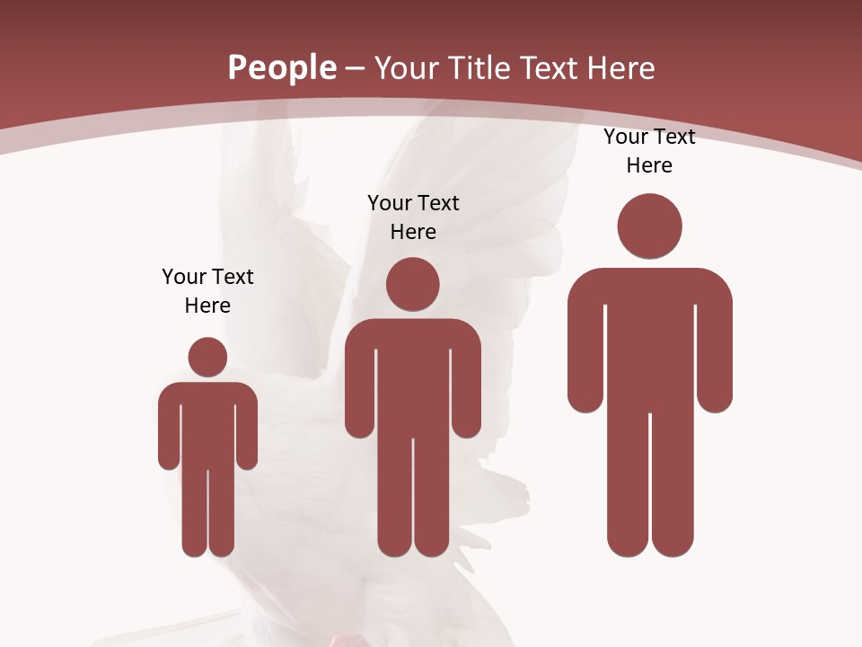 A White Dove Flying In The Air With Its Wings Spread PowerPoint Template