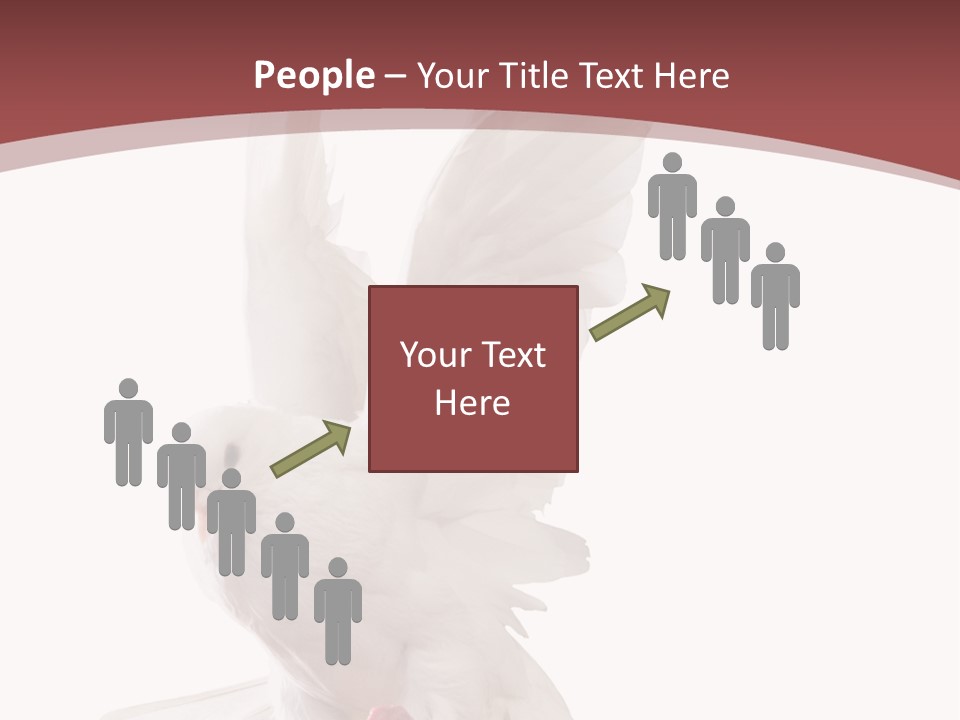 A White Dove Flying In The Air With Its Wings Spread PowerPoint Template