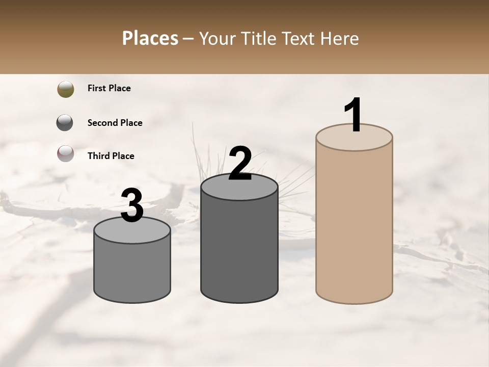 A Piece Of Wood With A Plant Growing Out Of It PowerPoint Template