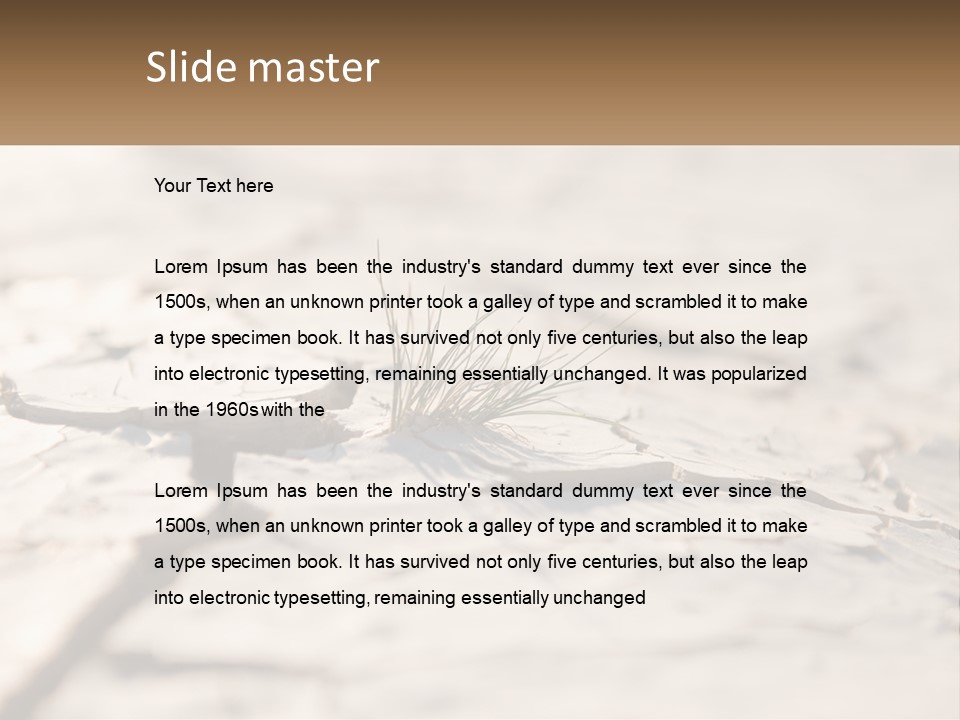 A Piece Of Wood With A Plant Growing Out Of It PowerPoint Template