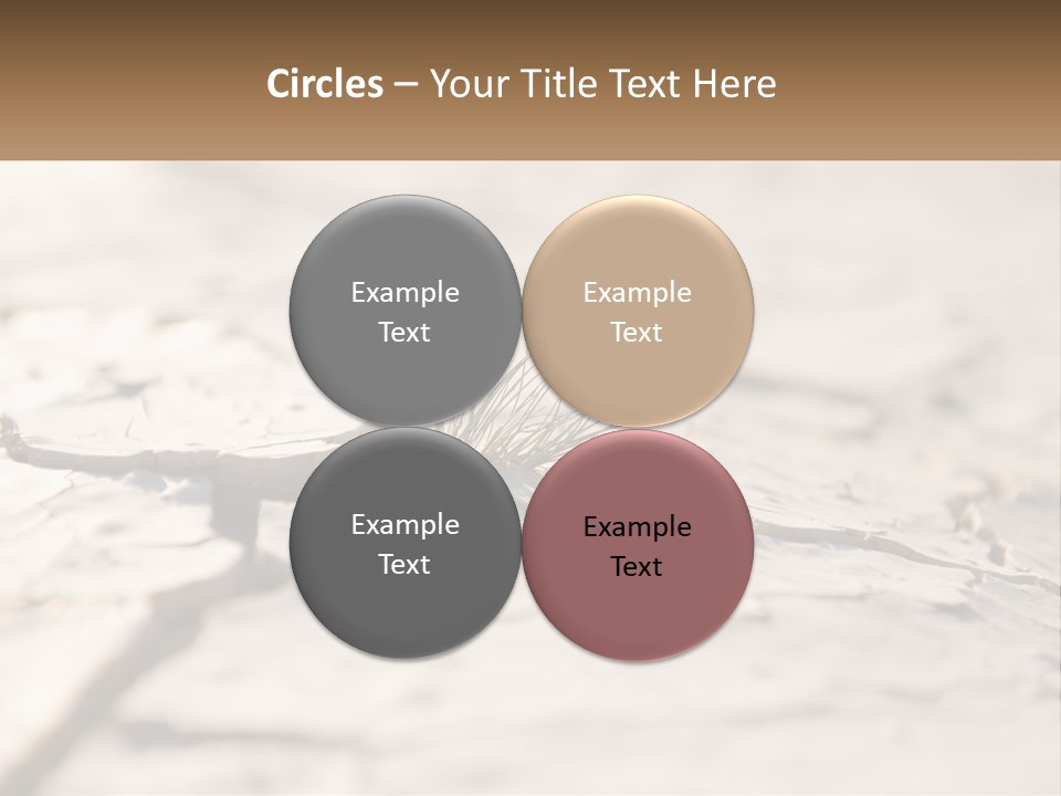 A Piece Of Wood With A Plant Growing Out Of It PowerPoint Template