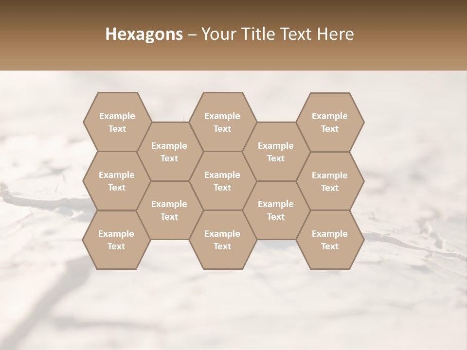 A Piece Of Wood With A Plant Growing Out Of It PowerPoint Template