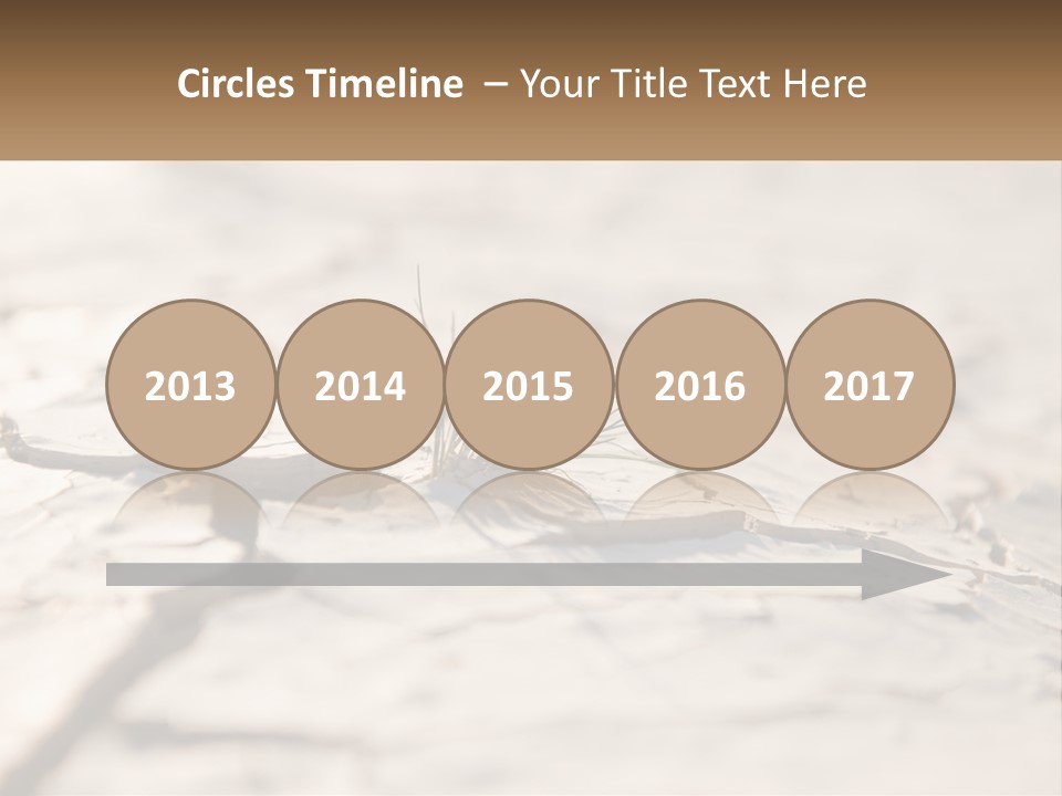 A Piece Of Wood With A Plant Growing Out Of It PowerPoint Template