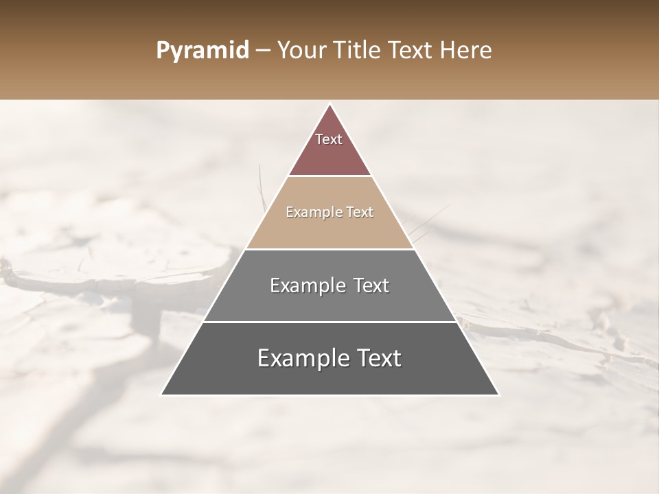 A Piece Of Wood With A Plant Growing Out Of It PowerPoint Template