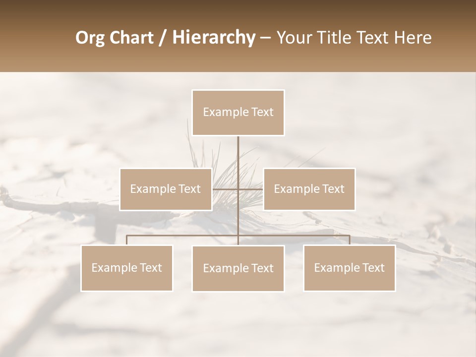 A Piece Of Wood With A Plant Growing Out Of It PowerPoint Template