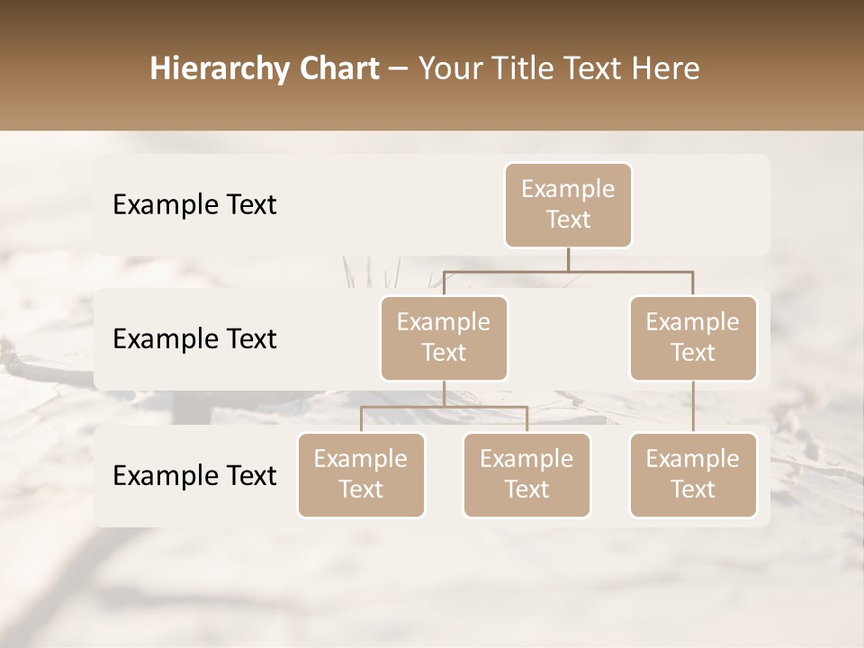 A Piece Of Wood With A Plant Growing Out Of It PowerPoint Template