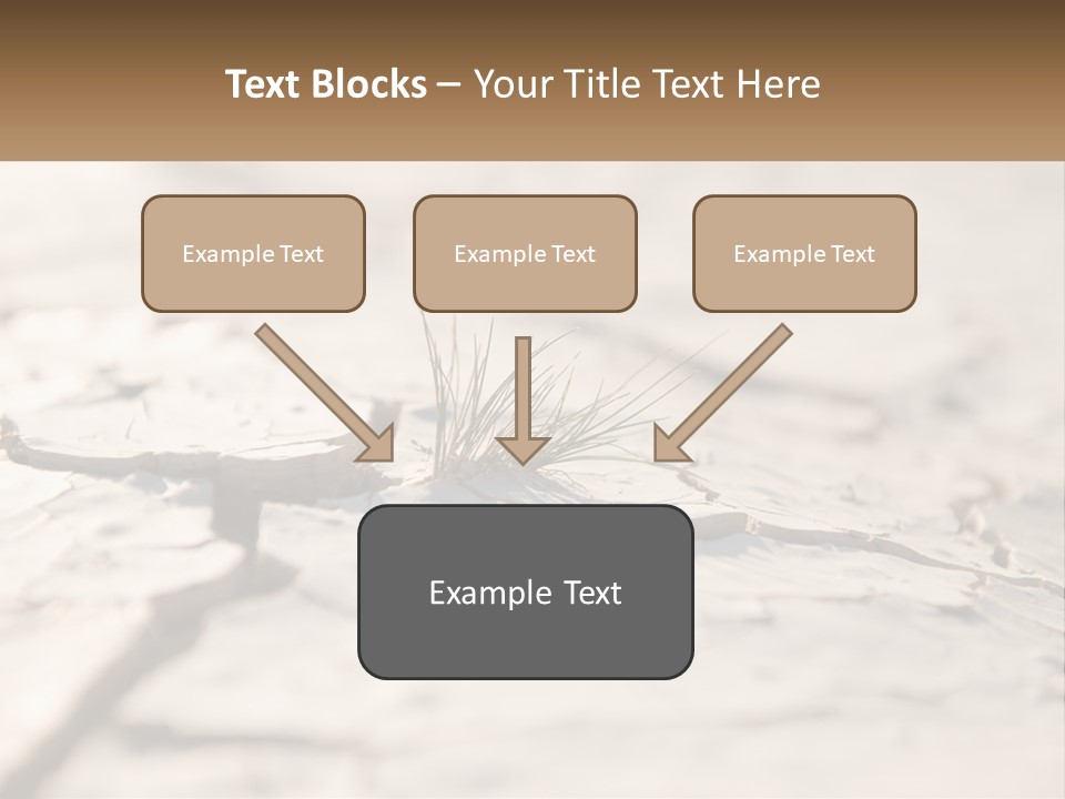 A Piece Of Wood With A Plant Growing Out Of It PowerPoint Template