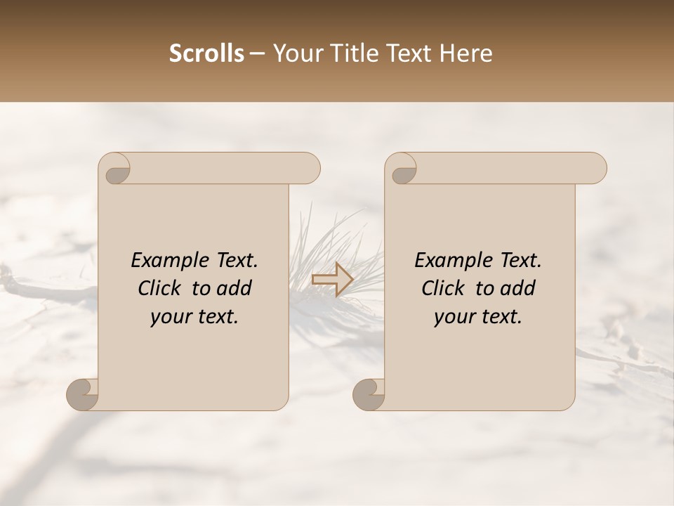 A Piece Of Wood With A Plant Growing Out Of It PowerPoint Template