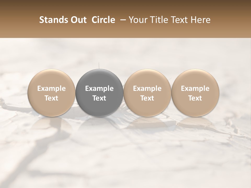 A Piece Of Wood With A Plant Growing Out Of It PowerPoint Template