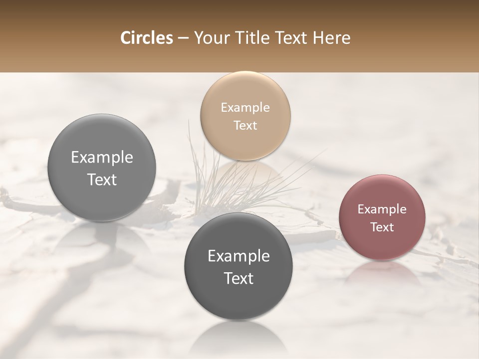 A Piece Of Wood With A Plant Growing Out Of It PowerPoint Template