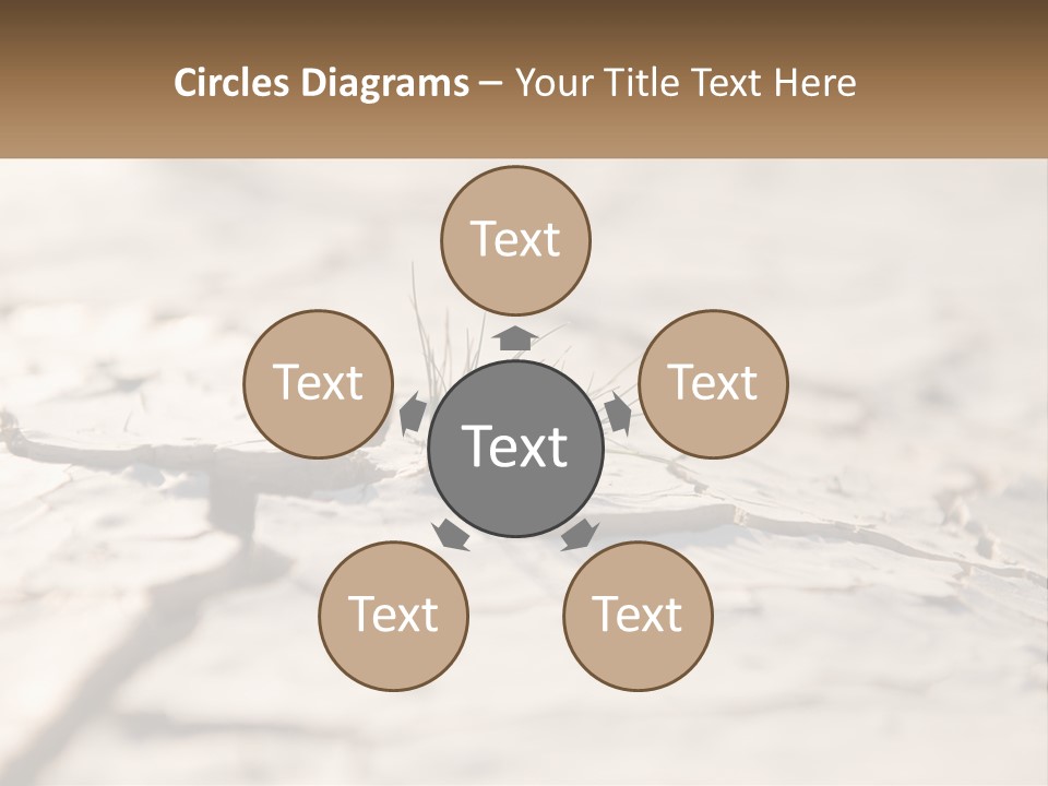 A Piece Of Wood With A Plant Growing Out Of It PowerPoint Template