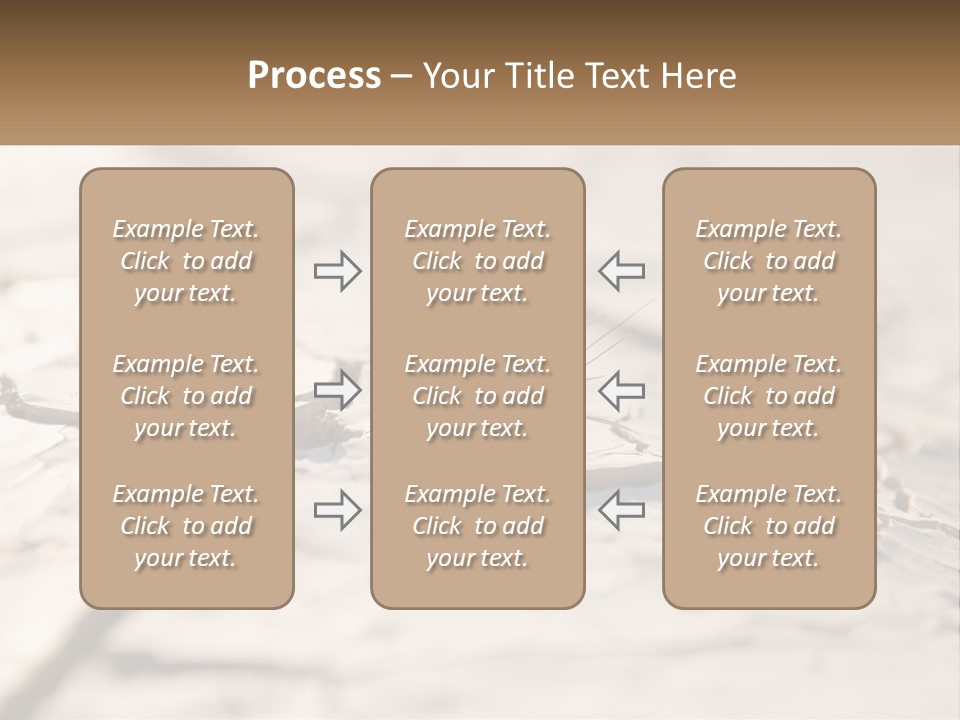 A Piece Of Wood With A Plant Growing Out Of It PowerPoint Template