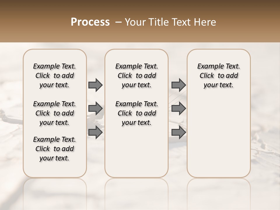 A Piece Of Wood With A Plant Growing Out Of It PowerPoint Template