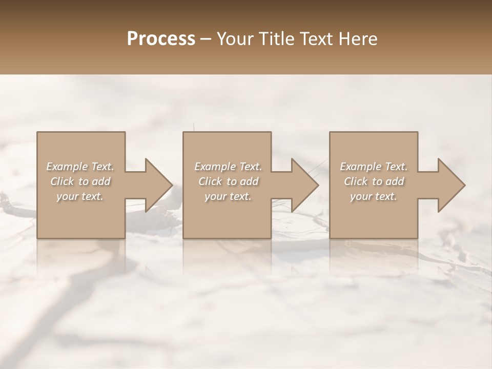 A Piece Of Wood With A Plant Growing Out Of It PowerPoint Template