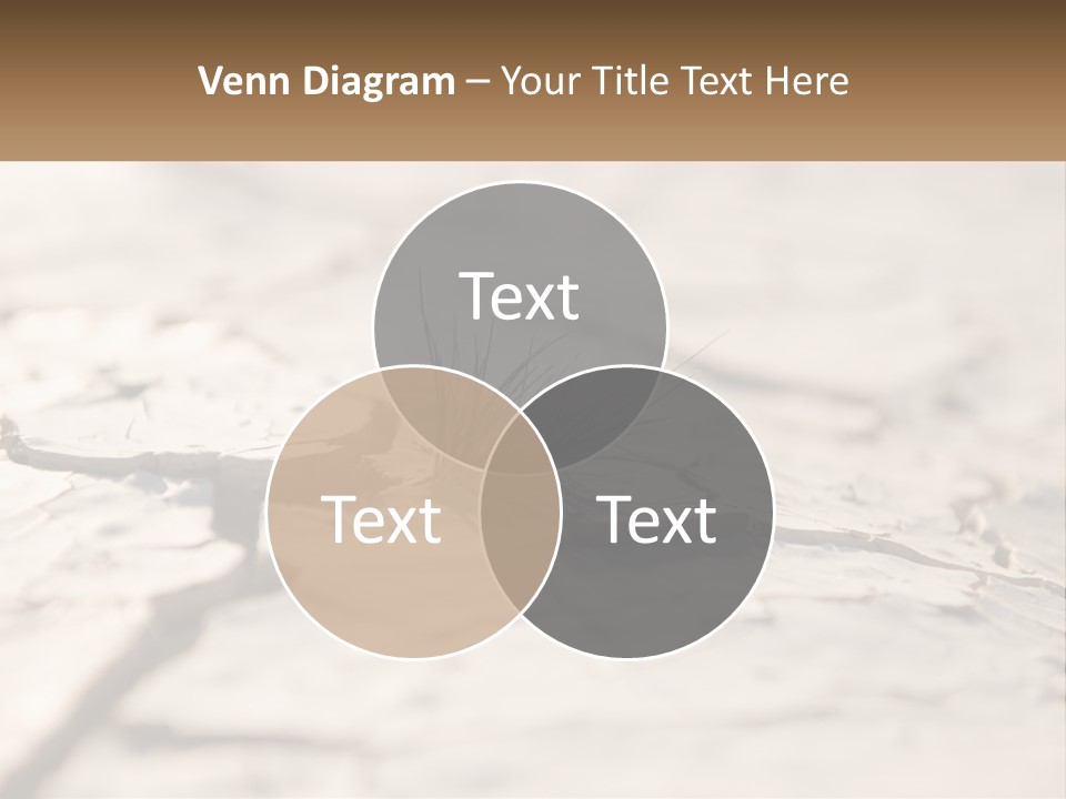 A Piece Of Wood With A Plant Growing Out Of It PowerPoint Template