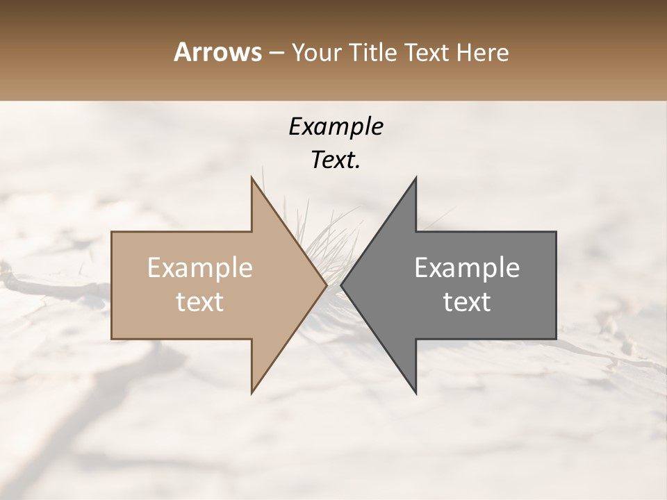 A Piece Of Wood With A Plant Growing Out Of It PowerPoint Template