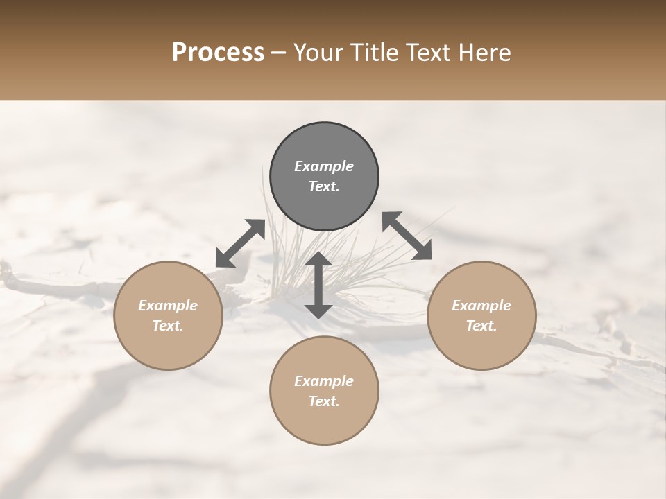 A Piece Of Wood With A Plant Growing Out Of It PowerPoint Template