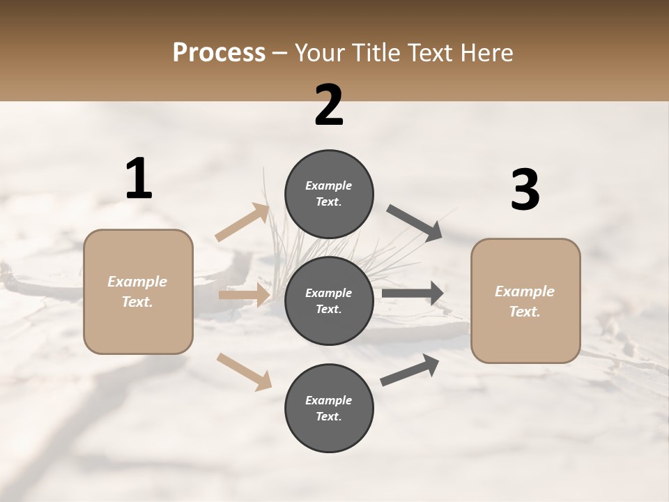 A Piece Of Wood With A Plant Growing Out Of It PowerPoint Template