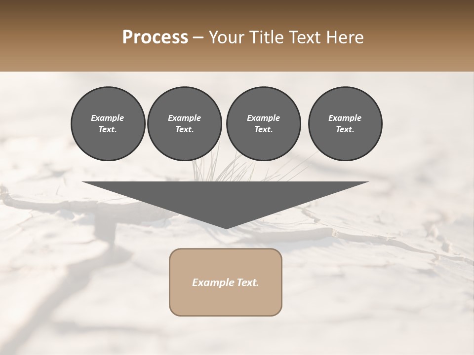 A Piece Of Wood With A Plant Growing Out Of It PowerPoint Template