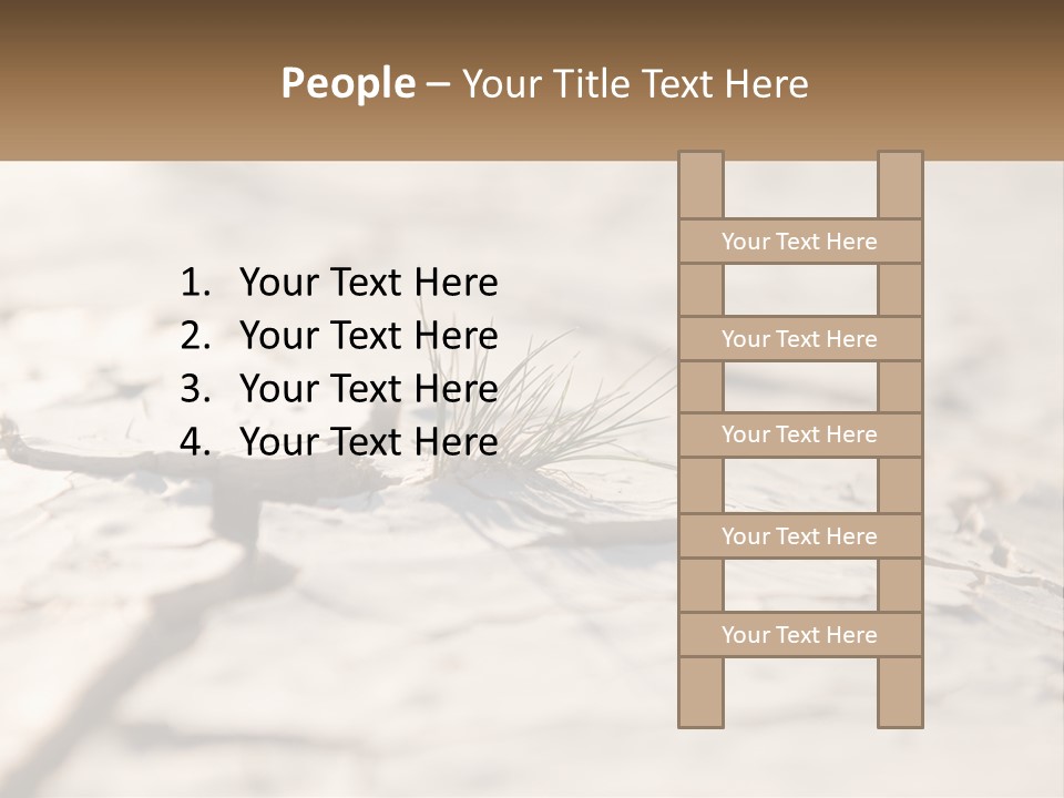 A Piece Of Wood With A Plant Growing Out Of It PowerPoint Template