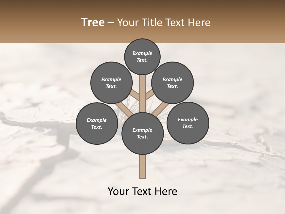 A Piece Of Wood With A Plant Growing Out Of It PowerPoint Template