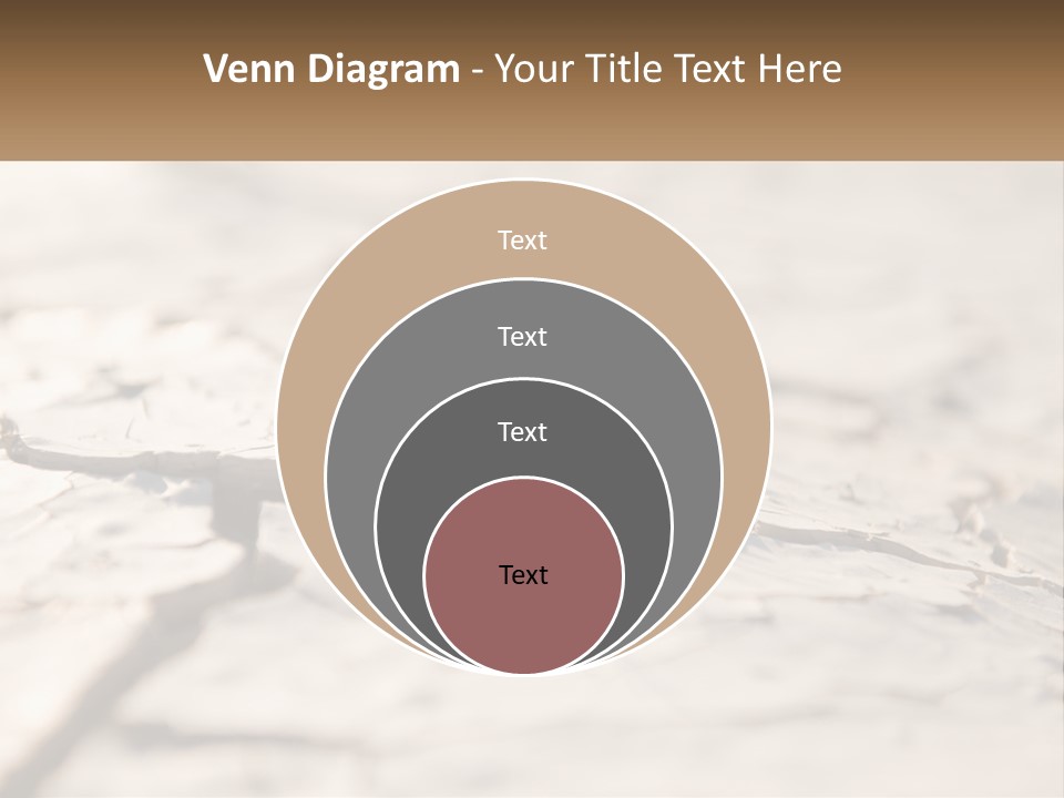 A Piece Of Wood With A Plant Growing Out Of It PowerPoint Template