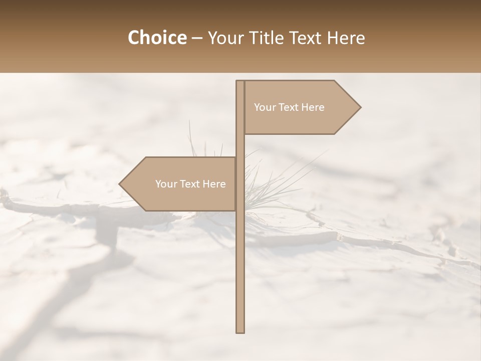 A Piece Of Wood With A Plant Growing Out Of It PowerPoint Template