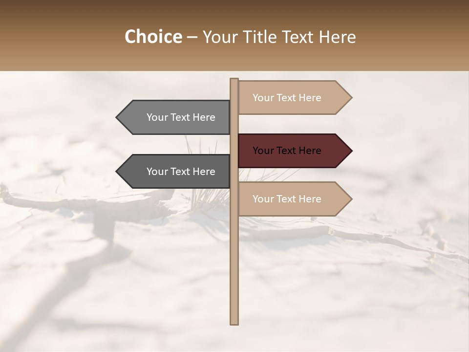 A Piece Of Wood With A Plant Growing Out Of It PowerPoint Template