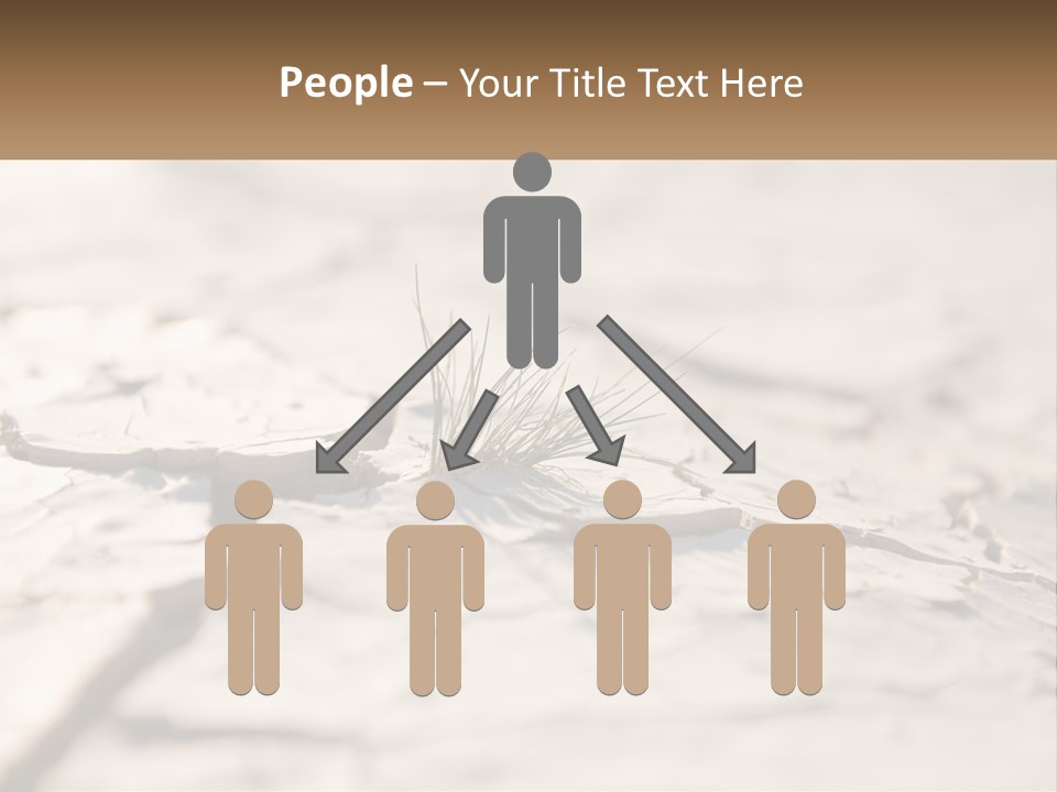 A Piece Of Wood With A Plant Growing Out Of It PowerPoint Template