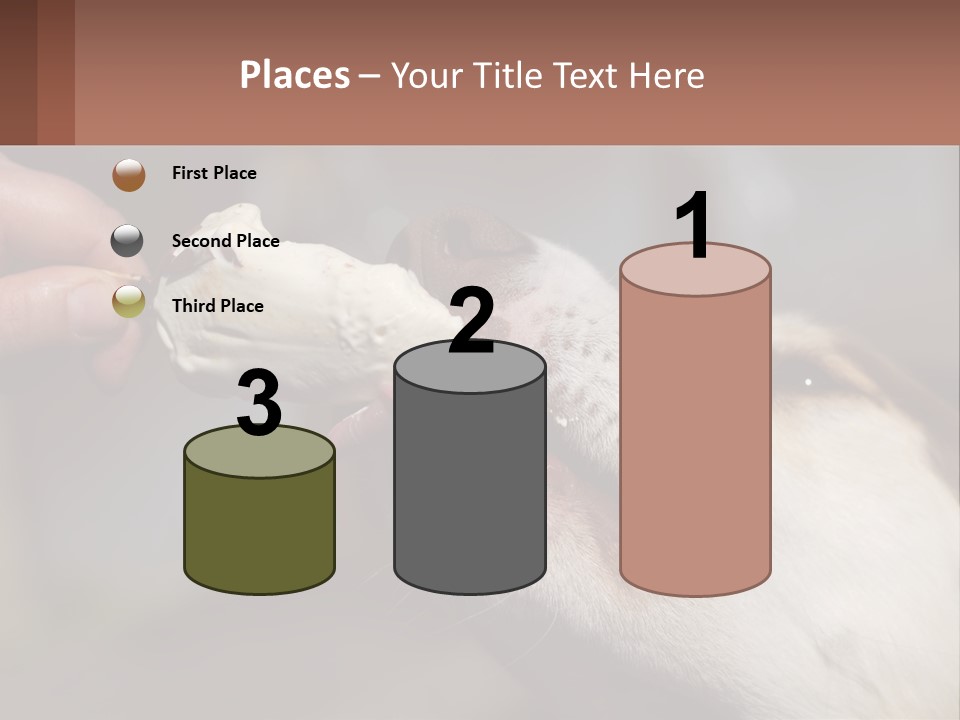 A Person Feeding A Dog A Piece Of Food PowerPoint Template