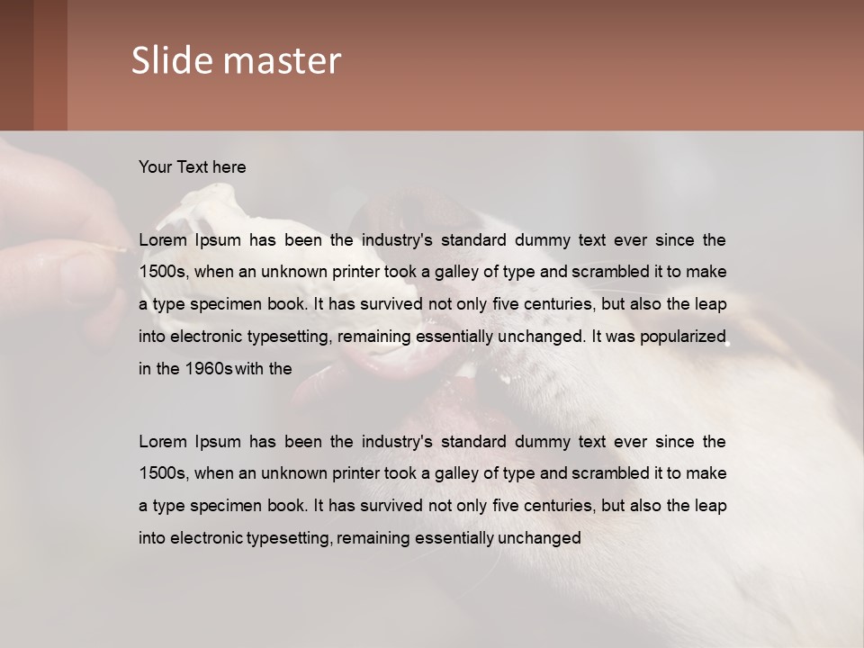 A Person Feeding A Dog A Piece Of Food PowerPoint Template