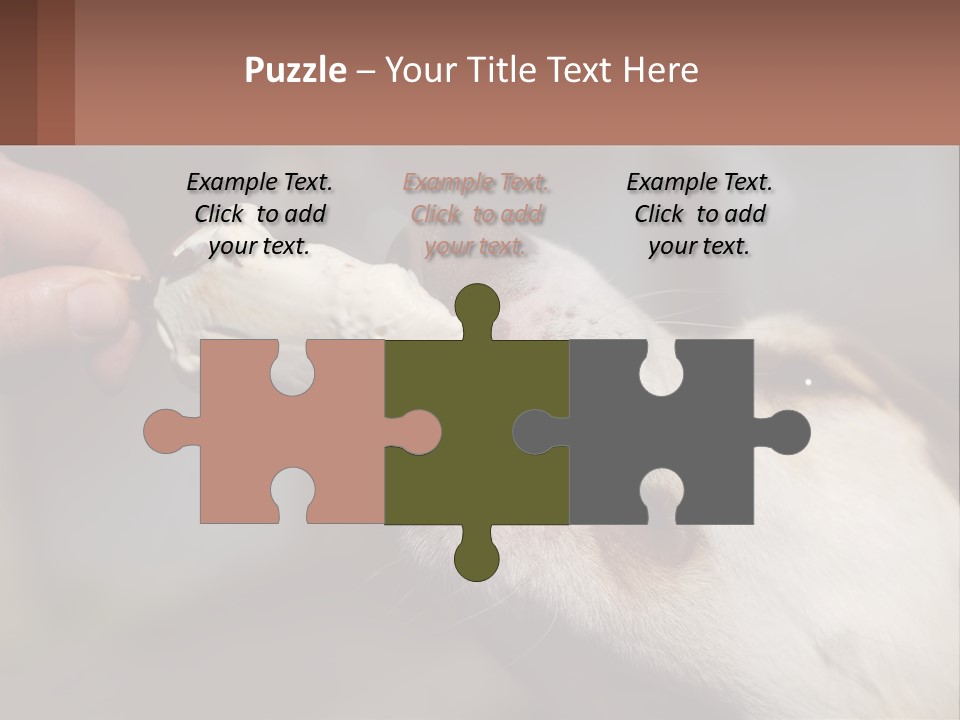 A Person Feeding A Dog A Piece Of Food PowerPoint Template