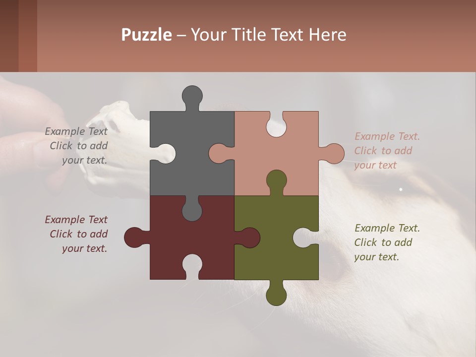 A Person Feeding A Dog A Piece Of Food PowerPoint Template