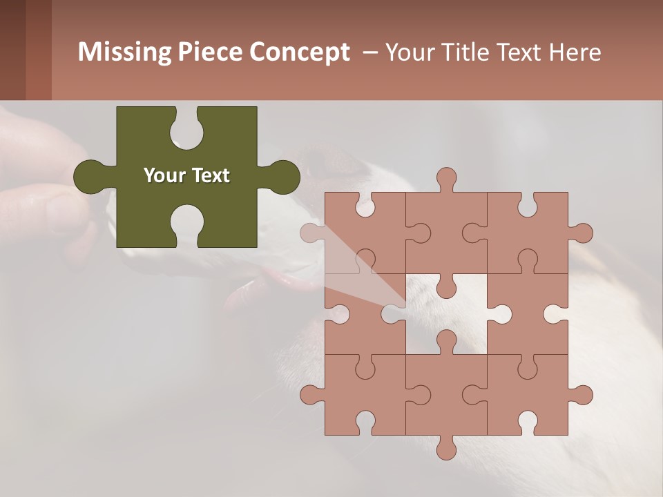 A Person Feeding A Dog A Piece Of Food PowerPoint Template