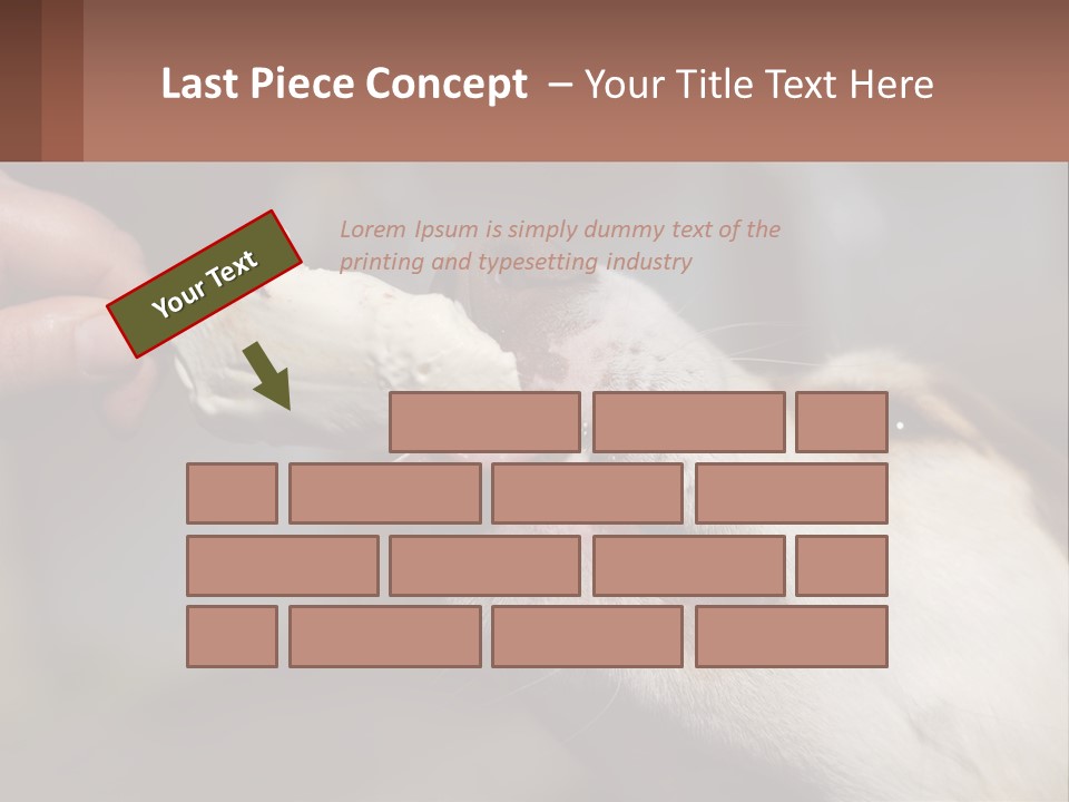 A Person Feeding A Dog A Piece Of Food PowerPoint Template